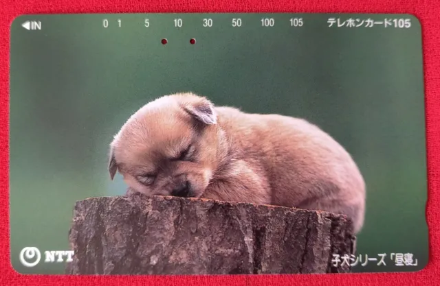 1994 Japanese NTT Phone Card 105 Scene of 1 Cute Puppy napping-kept Pristine