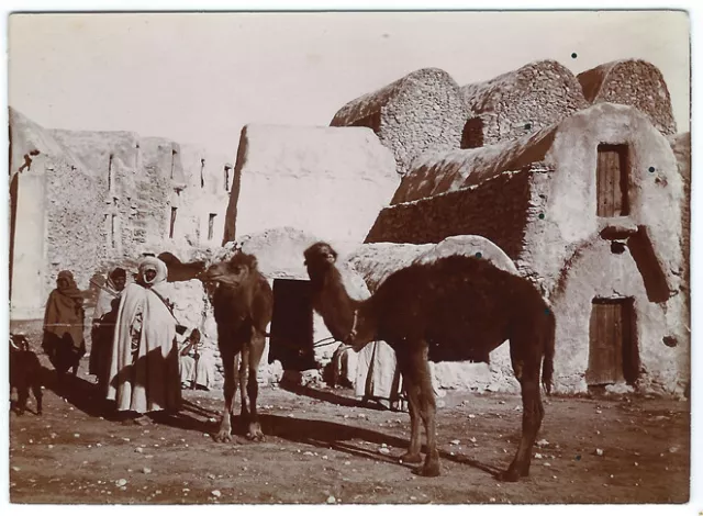 photo tirage citrate c.1910 -une rue de Médenine - grenier Tunisie Ghorfas