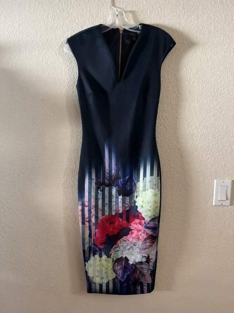 NWOT TED BAKER Rimena Vespera Hydrangea Haze Midi Pencil Cocktail Dress 0