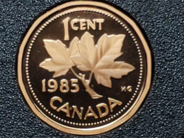 1985 CANADA  1 Cent Uncirculated Frosted Proof Copper Penny UNC