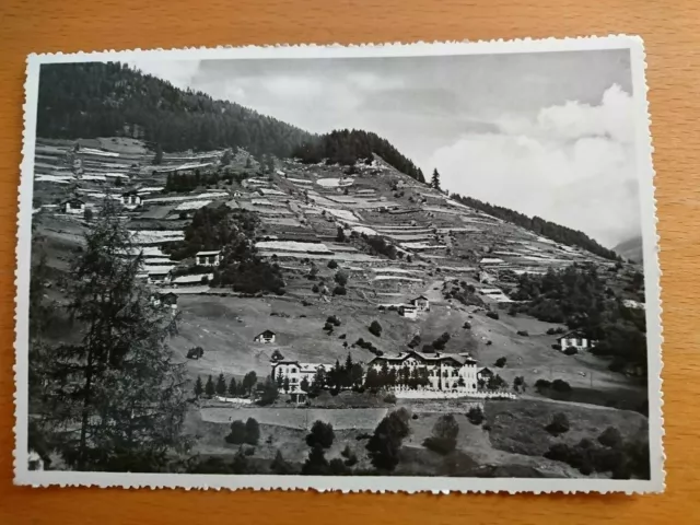 Cartolina b/n ACIDULE DI PEIO Pejo (Trento) Grande Albergo Vioz VG 1952