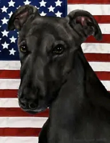 Patriotic (D2) Garden Flag - Black Greyhound 323121