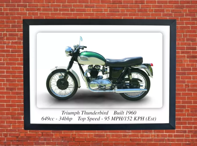 Triumph Thunderbird Motorcycle - A3 Size Print Poster on Photographic Paper