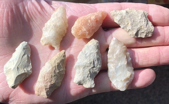7 Decent North Accomack Co., Virginia Native American Arrowheads