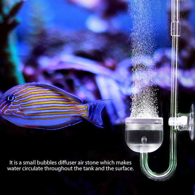 Aquarium Fish Tank U Shape Flat Base Diffusore Ventosa Ventosa Valvola Di Co DB3