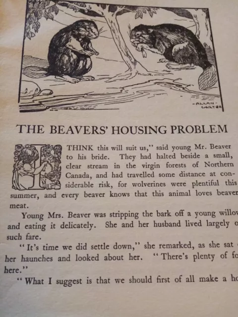 Xm11 Ephemera 1950 short story the beavers housing problem h s sarbert