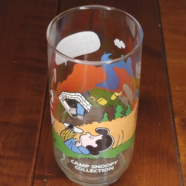 VINTAGE PEANUTS CHARLIE Brown McDonalds Schulz Camp Snoopy Cup Glass
