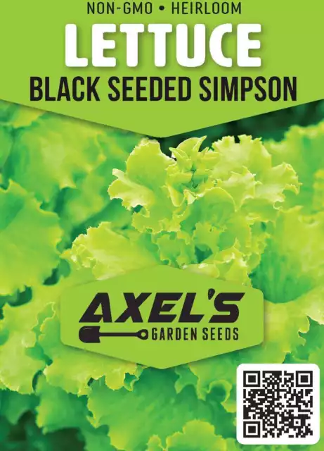 Lettuce Seeds - High Yield Heirloom Non-GMO, Free Shipping, Black Seeded Simpson 2