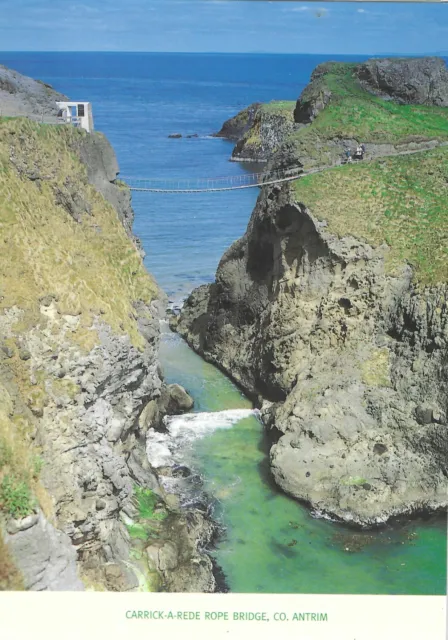 11684 - Postcard showing Carrick A Rede, Rope bridge, County Antrim