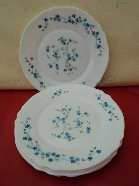 Lot De 6 Assiettes à Dessert Arcopal – Modèle Myosotis Veronica – État Correct