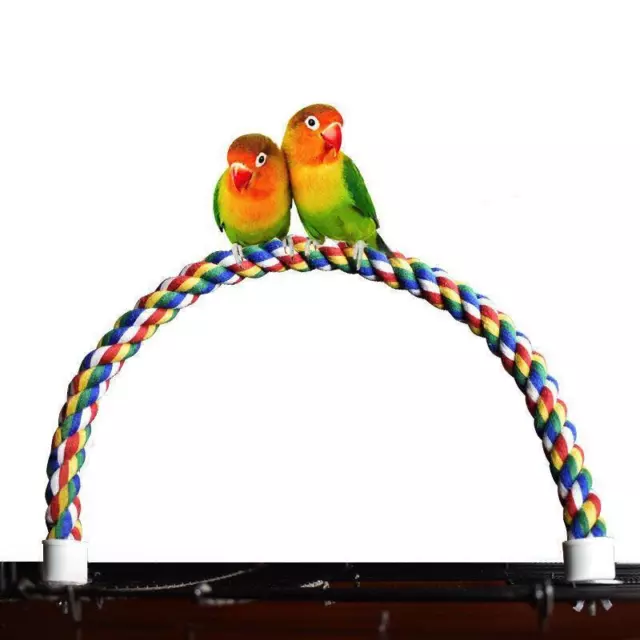 Pet Bird Rope Perches Parrot Colourful Cage Comfy Perch Bungees for Birds Toy AU 3