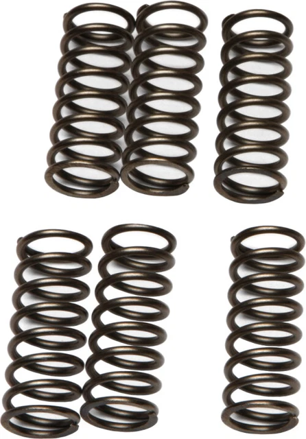 EBC Clutch Spring Kit CSK79 26-8012 15-1779 168284