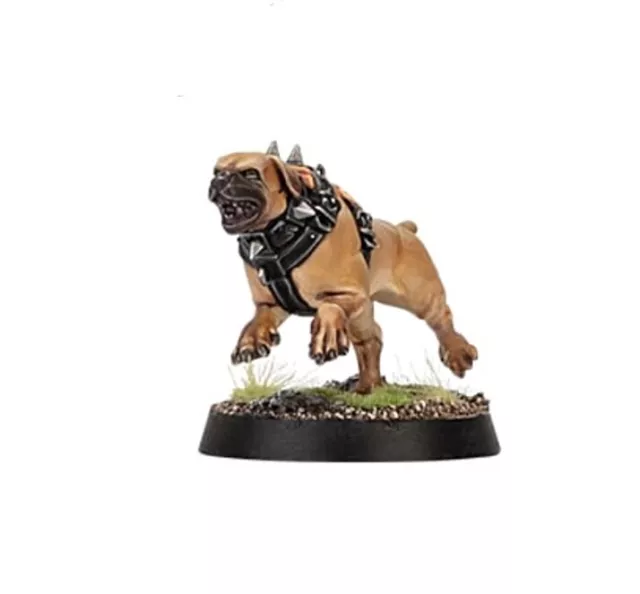 WARCRY Cities of Sigmar Hunter and Hunted WILDERCORPS Hunter Trailhound 8d #058b