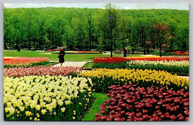 Sterling Forest Gardens New York Scenic Flower Field Chrome UNP Postcard