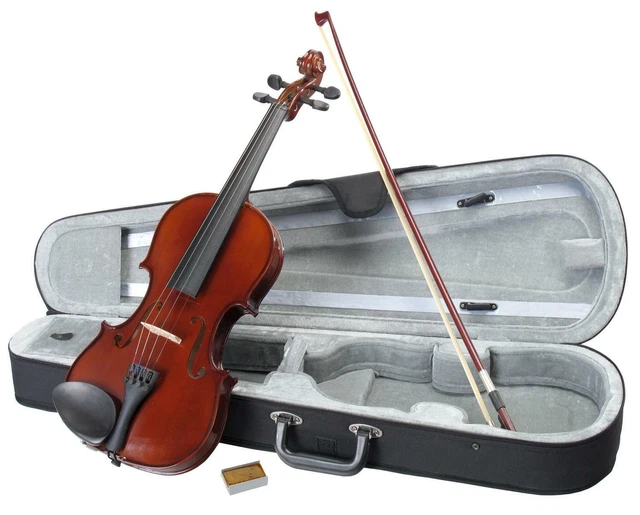 Pack Violon 4/4 pour Debutants en Bois de Erable Set avec Etui Archet Colophane
