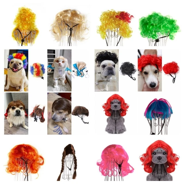 Fotografia cane gatto travestimento peli carini scherzi forniture per animali domestici parrucche regalo