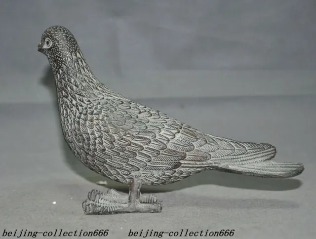 8.4" Old chinese palace dynasty Shui shui bronze lucky wealth Pigeon bird statue