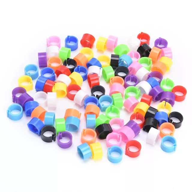 100x Vogel Ringe 8mm Bein Bands Clip Taube Taube KüEnte Bantam Geflüg'yg