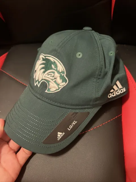 University of Michigan Wolverines Adidas L/XL Hat Cap