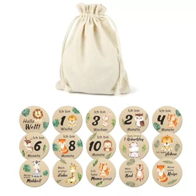 15PCS Beautiful Baby Monthly Cards -  Sided Milestone Wooden Circles Discs6000