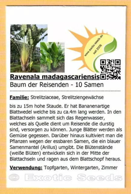 Ravenala madagascariensis - Baum der Reisenden - 10-100 Samen m. Stecketikett