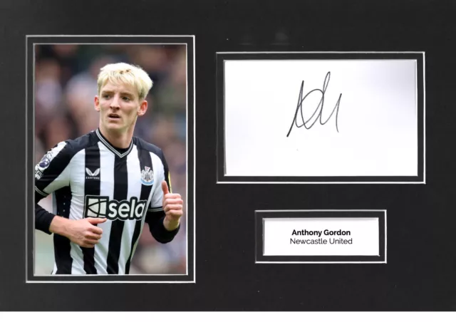 Anthony Gordon Signed 12x8 Photo Display Newcastle United Autograph Genuine COA