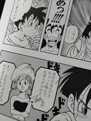 Dragon Ball Doujinshi Goku X Chichi Gohan X Videl Etc B5 82pages Dragon Ball Doujinshi Goku X Chichi Gohan X Videl Etc B5 82pages