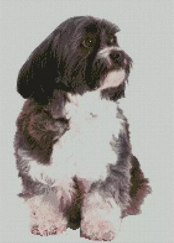 Lhasa Apso Dog Counted Cross Stitch Kit 8" x 13" D2401