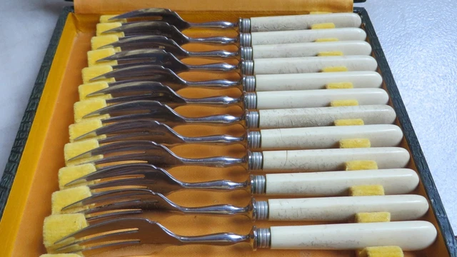 Coffret de 12 fourchettes de table en acier inoxydable - Design élégant