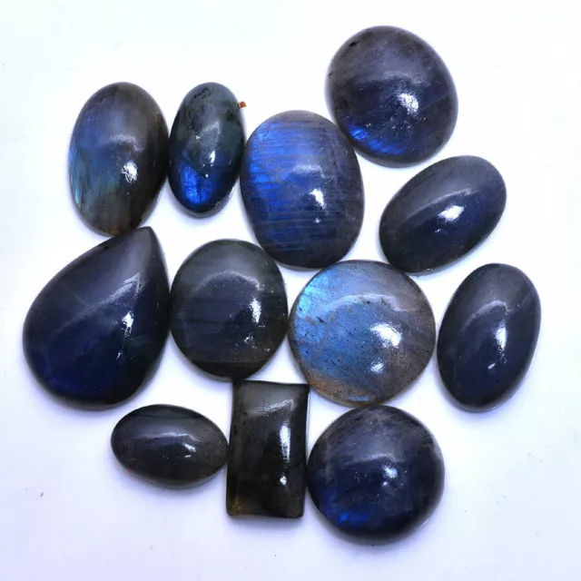 310 Cts/12 Pc Top Quality 100% Natural Labradorite Blue Shine Cabochon Gemstones