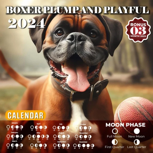 BOXER PLUMP AND Playful Calendar 2024 Jan 2024 to Dec 2024 Bonus 3