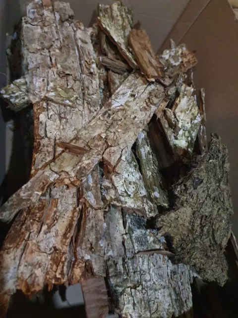 Baumrinde Holzrinde - Bruchstücke Dekorinde Floristik Basteln Natur Terrarium