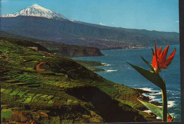 Postal Zona Norte Y Teide Tenerife Islas Canarias Postcard Postkarte     Cc02134