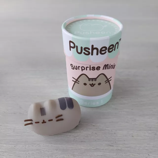 Pusheen surprise hot sale minis vinyl