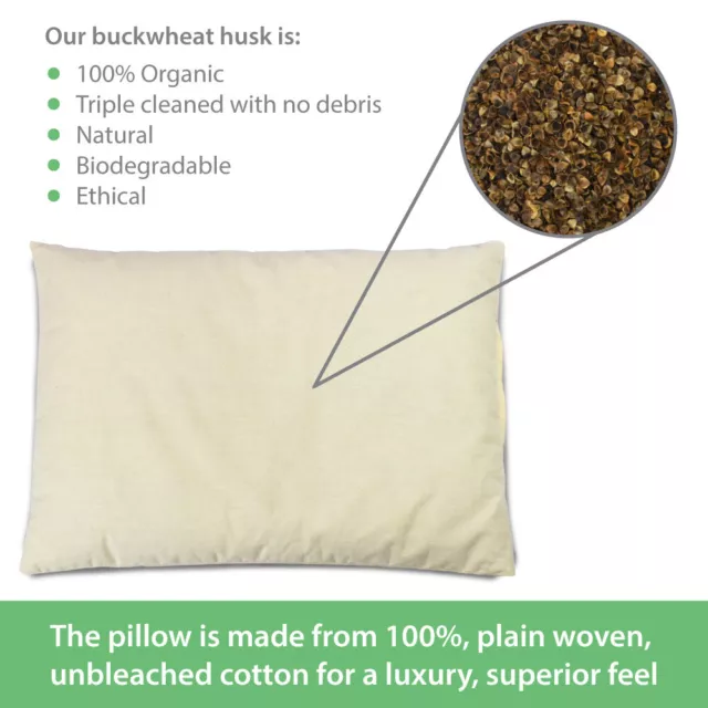 Organic Buckwheat Husk Pillow in 100% Unbleached Cotton - Biodegradable 2