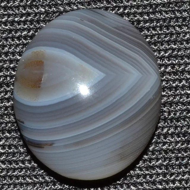 Cts. 16.50 Natural Bostwana Agate Cabochon Oval Cab Exclusive Loose Gemstone