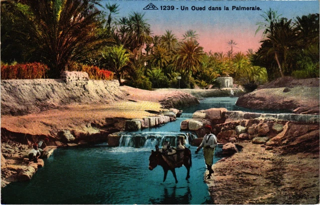 Carte Postale Ancienne Algérie - Timimoun, La Fête Du Mouloud (réf 1146092)
