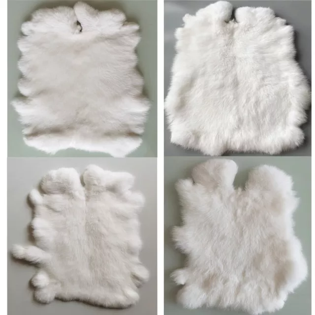 4pcs White Rabbit Skin Pelt Fur Hide Genuine Animal Fur Leather Tanned Craft DIY 4pcs White Rabbit Skin Pelt Fur Hide Genuine Animal Fur Leather Tanned Craft DIY