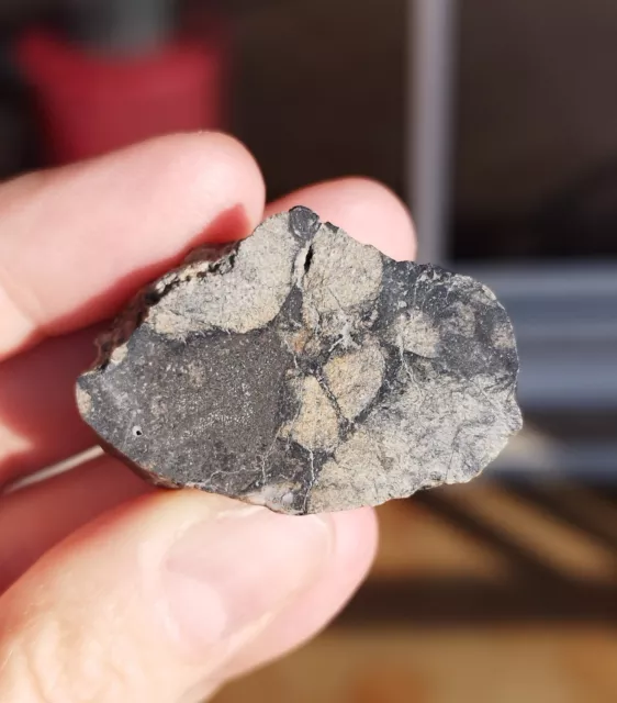 Meteorite achondrite eucrite NWA 12929 21.9 g