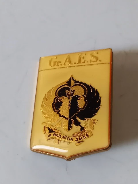 Distintivo  Gruppo Aes   Aeronautica Militare