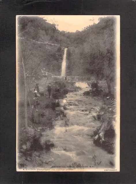 C9883 Australia SA Adelaide Waterfall Gully Taylor PU1907 vintage postcard
