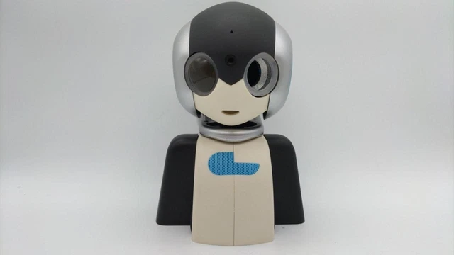 ROBI　DeAGOSTINI NEW! Deagostini Robi assembled Robot Japan Ver. carrying