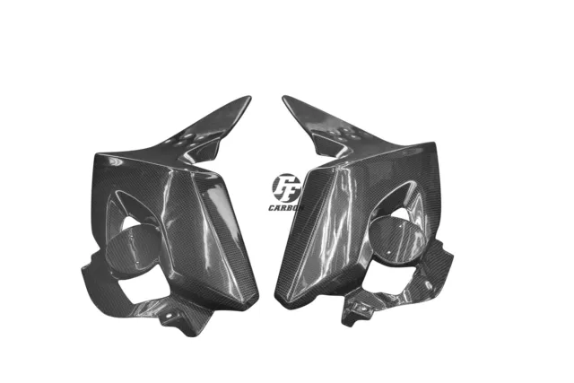 Carbon Side Panels for BMW K1300R 3