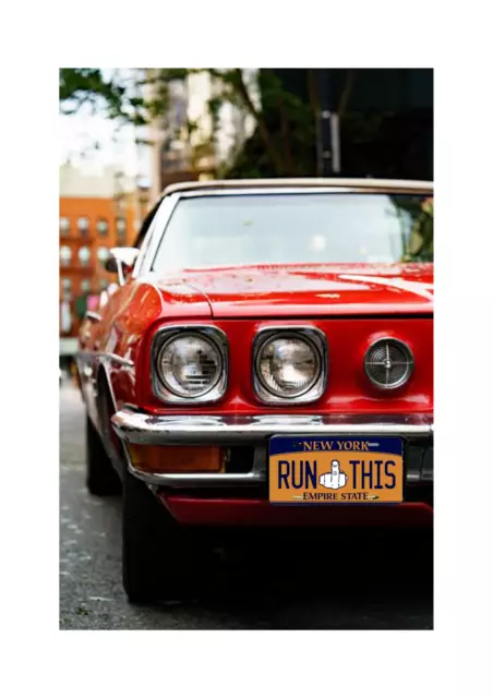 New York Run This Empire State License Plate for Car Front, Aluminium 6"x12" 2