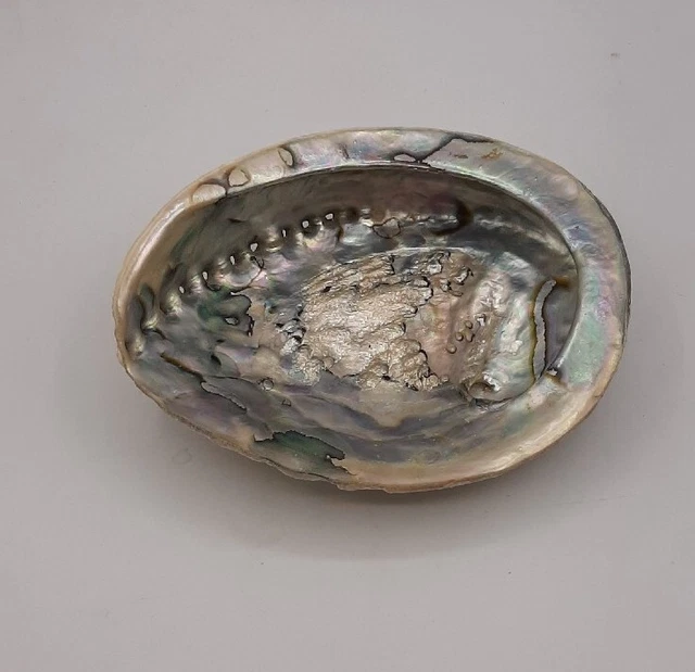 Vintage Iridescent Pink Blue Abalone Shell Trinket Smudge Dish Beach Decor