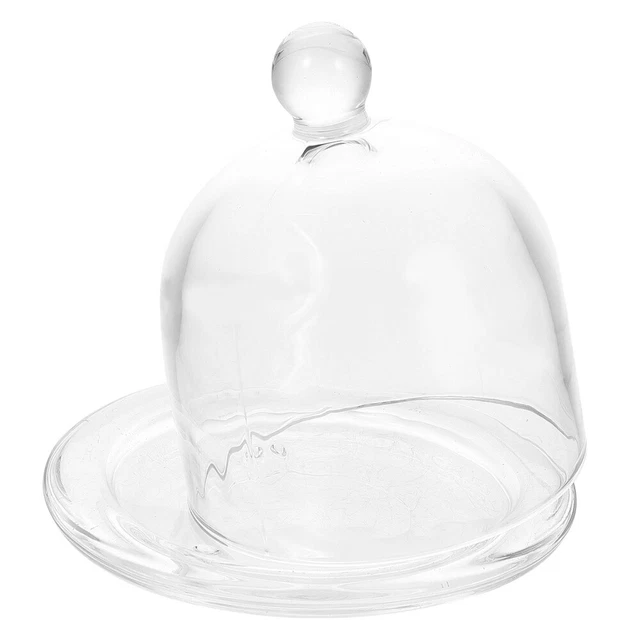 Cúpula de postre campana cubierta de vaso de pastel plato de fruta desayuno