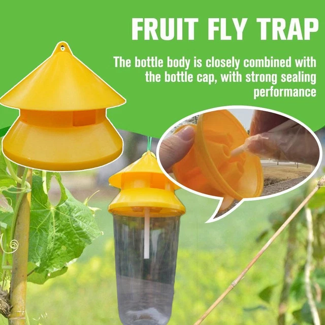 1 x Fruit Fly Trap 2023 HOT S6P2