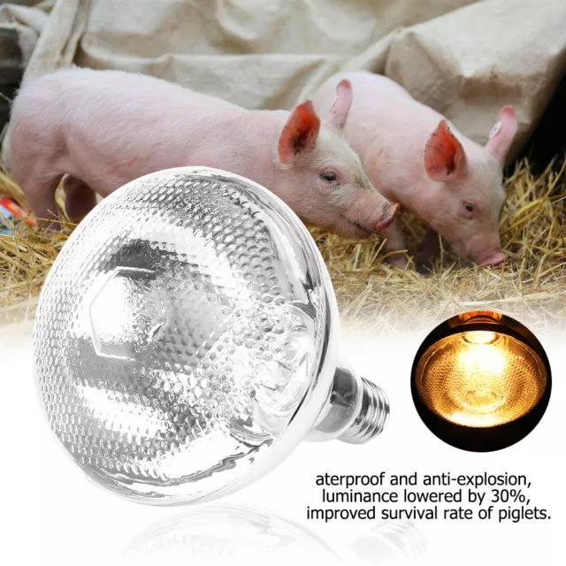 1Pc Pig Piglet Thick Heat Lamp Waterproof ExplosiOn Proof Light Bulb Dot Sur Gdb