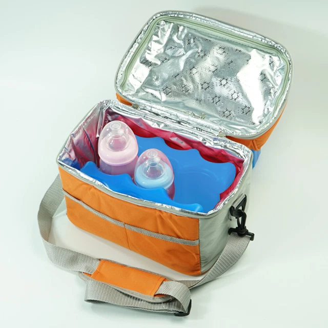 Sac Isotherme Lait Maternel Oxford Avec 2 Glacières - Refroidisseur Portable 21x11x6.5cm - Fermeture Éclair