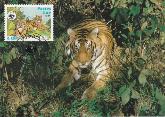 1984 Laos maxi card WWF Tiger